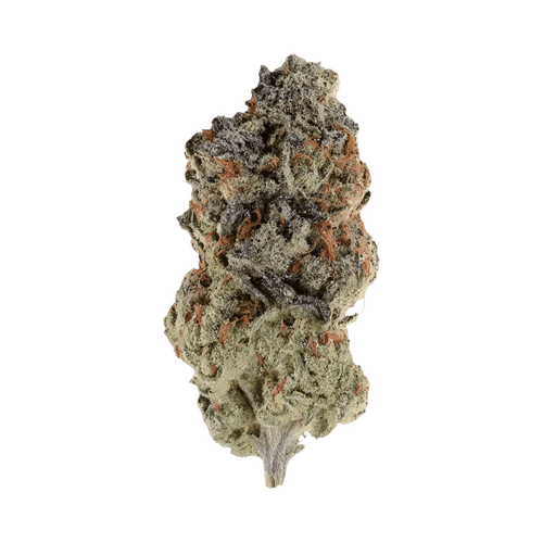PHENO 22/1 BDT Berry Donuts