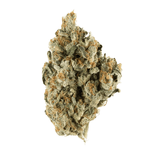 Cannamedical Indica classic AU El Jefe