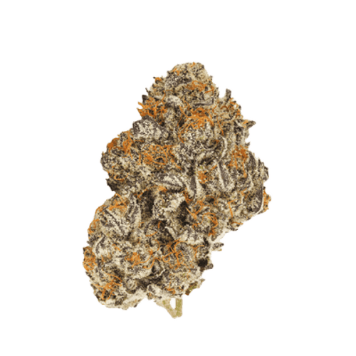 Demecan Core CRC 30:01 Cream Cake