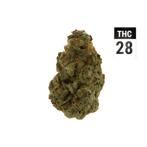 Redecan THC28 PPC Purple Churro