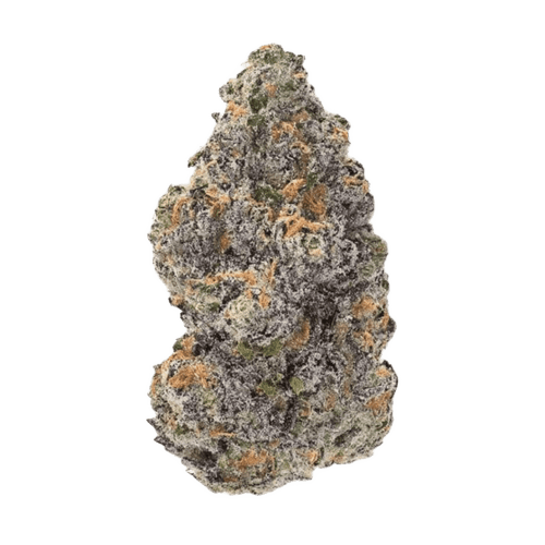 Organic Sweetgrass BLT 30/1 Blacklight