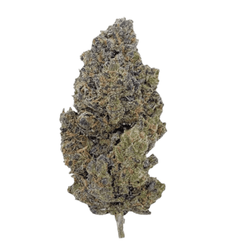Together Pharma WC 25/1 Wedding Cake