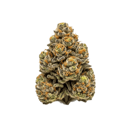HiDealz 24/1 MS PIK Pink Kush smalls