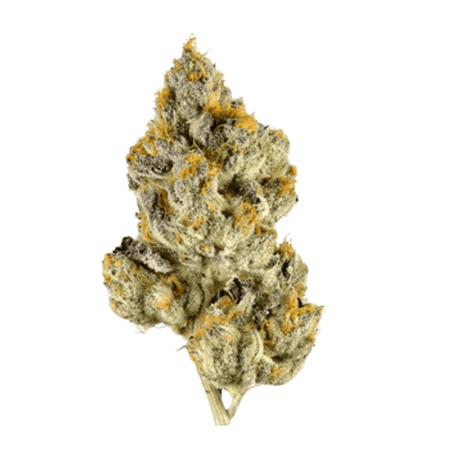 Materia FFC 25/1 Frosted Fruit Cake