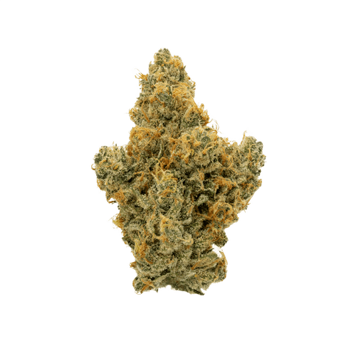 CUREOUS BLB THC32 Blockberry
