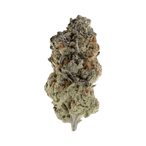 PHENO 25/1 BDT Berry Donuts