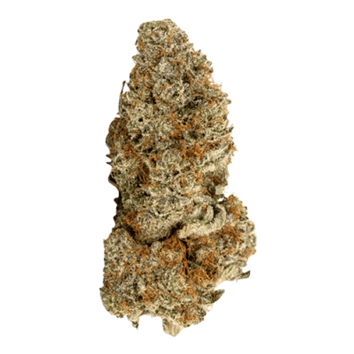 Blayz 24/1 SRS Sour Sherb