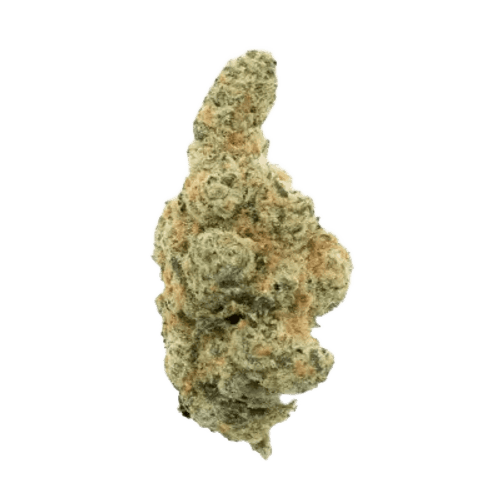 Cannamedical Sativa Forte ES Orange Creampop