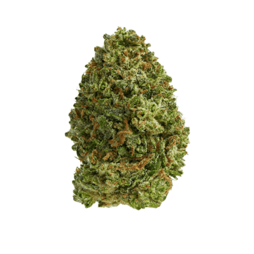 Huala 27/1 CA TRM Triangle Mints