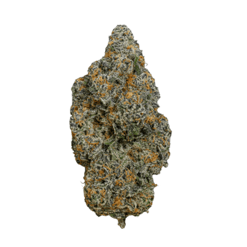 AMP Trichome GPP THC24 Grapefruit Purple Punch