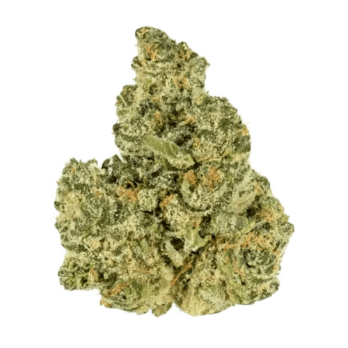 slouu 27/1 ZKS CA Z Kush