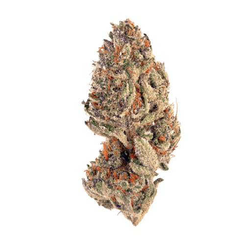 Upstate 29/1 C5 Slurricane