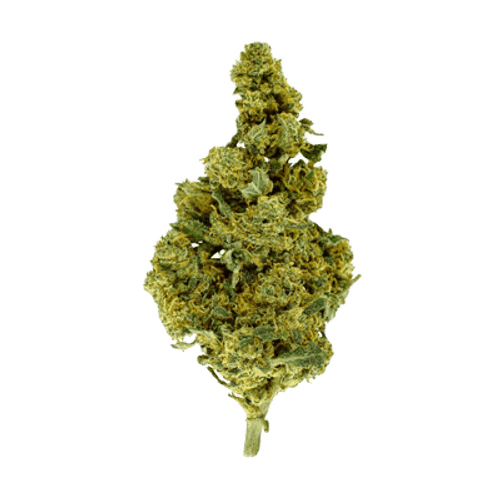 Cannamedical Hybrid Classic KA Orange Bud