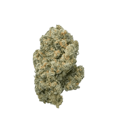 Cannamedical Sativa Forte SA Jack Herer