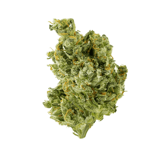 HiDealz 27/1 MS Honeydew Haze Smalls
