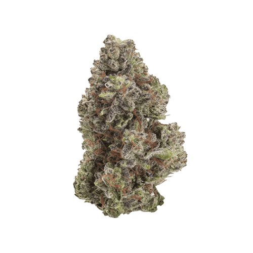 PHENO 18/1 STK Starwalker Kush