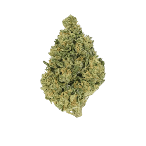 TREATZ LC 30/1 Lemon Cheesecake