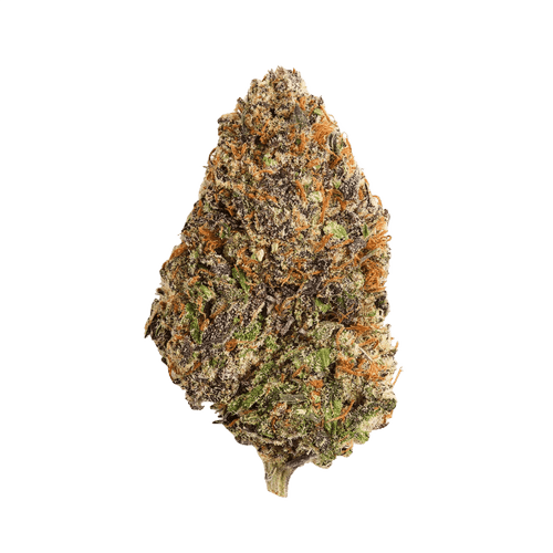 Ritualist 32/1 Babo Kush