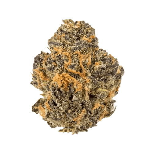 Huala 25/1 CA GRF Grape Face