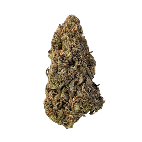 Gripon420 24/1 FLF Fruitloops & Fuel