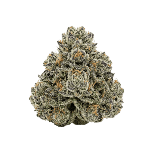 Demecan Craft Platinum 31:1 Platinum Mac