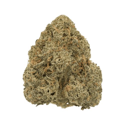 Cannamedical Indica Forte DK Blue Cheese