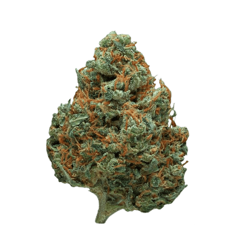 madrecan 27/1 Pineapple Purps