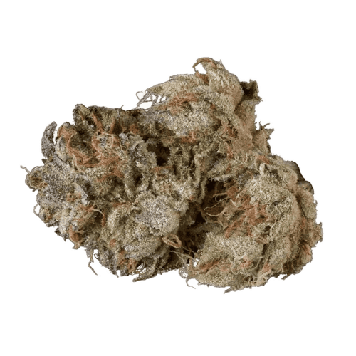 Cannamedical CM 32/1 EBK 8 Ball Kush