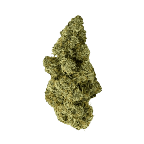Daily Special 25/1 FUN Funky Berry