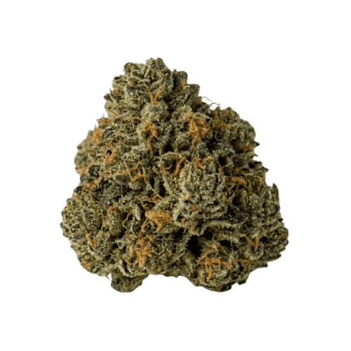 Pedanios 20/1 GTH-CA Ghost Train Haze