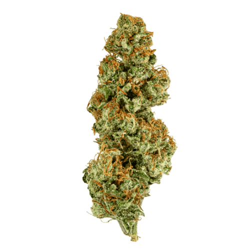 WEECO Peridot 25/1 Slightly Stoopid Fruits