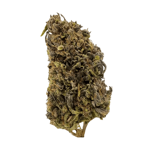 APEX GEP PT 30/1 Gelato Poison