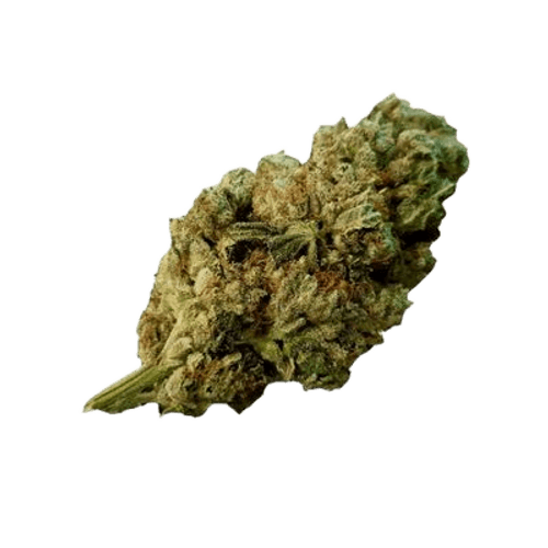SEVEN LEGATO 20/1 Gorilla Glue