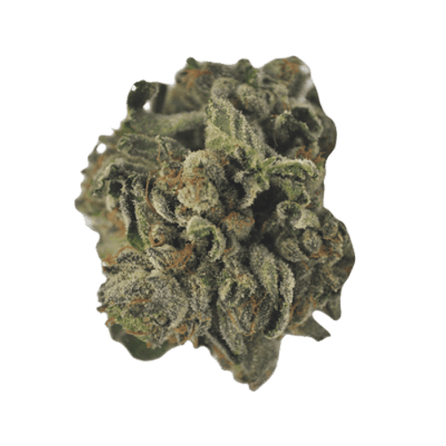 Tilray THC 18 Hybrid No. 5 Purps