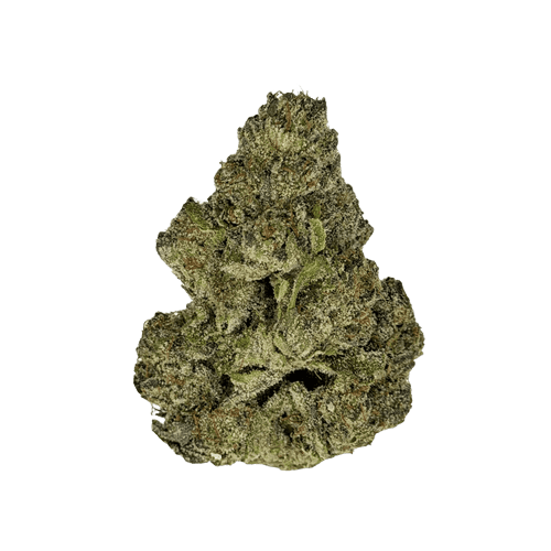 Fast Leaf 27/1 CHX Cherry X