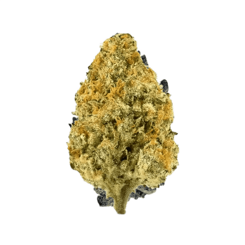 LOT 420 GNDI Ghandi
