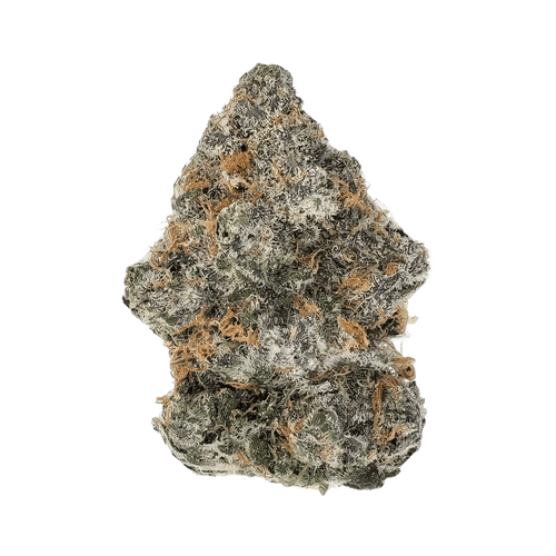 ZOIKS 22/1 BBH Bluebanger Haze