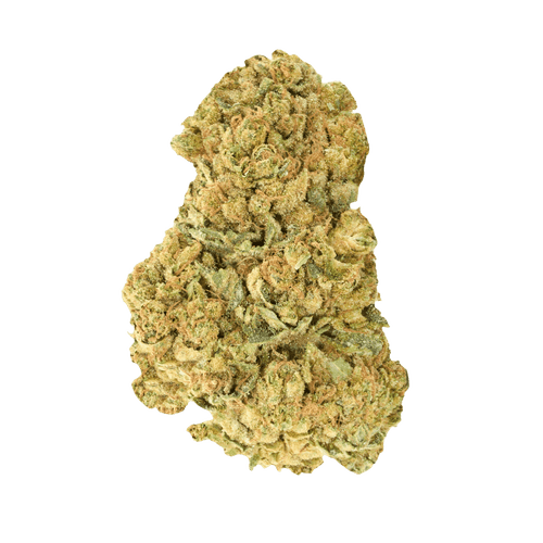 Good Supply THC25 BCR Beach Crasher
