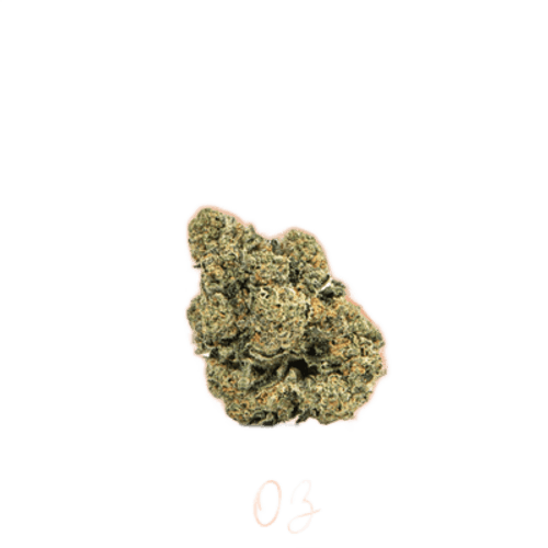 Tikun OZ 22/1 OZ