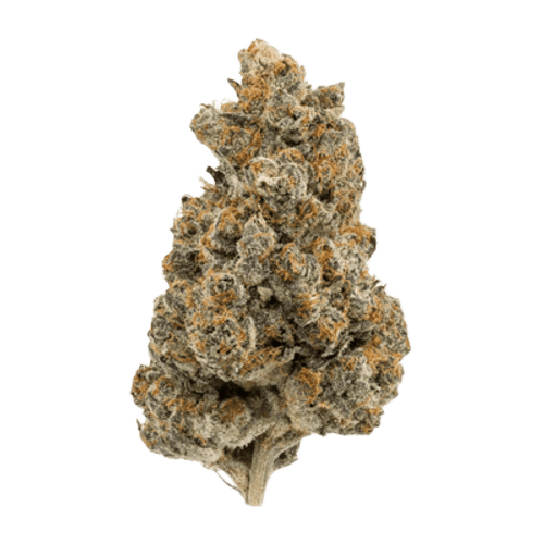 THC AKUT 25 RS11 Rainbow Sherbert #11