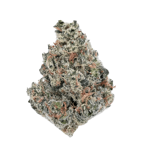 420 Evolution 27/1 CA MGD Magic Gum Drop