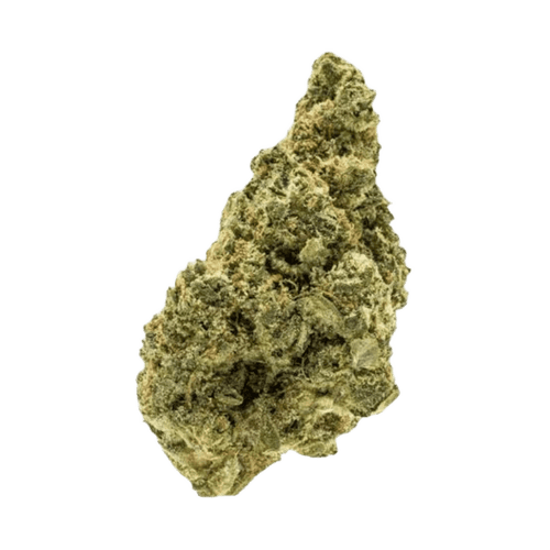frdm 18/1 JCK Jack Herer