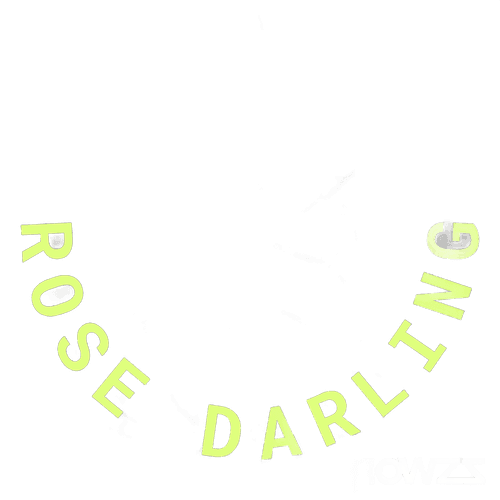 stabil. ROS PT 26/1 Rose Darling