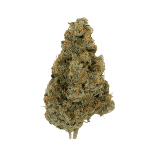 Remexian 27/1 GJY LIB Liberty Haze