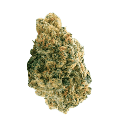 HiDealz 27/1 MS LFO Lemon Fuel OG smalls