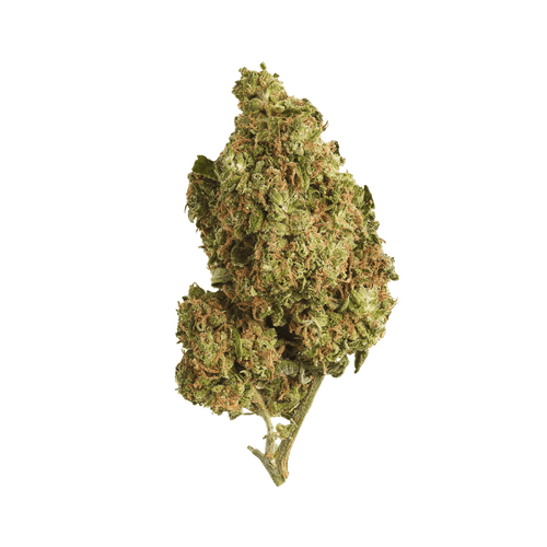 NICE 32/1 LH Lemon Haze