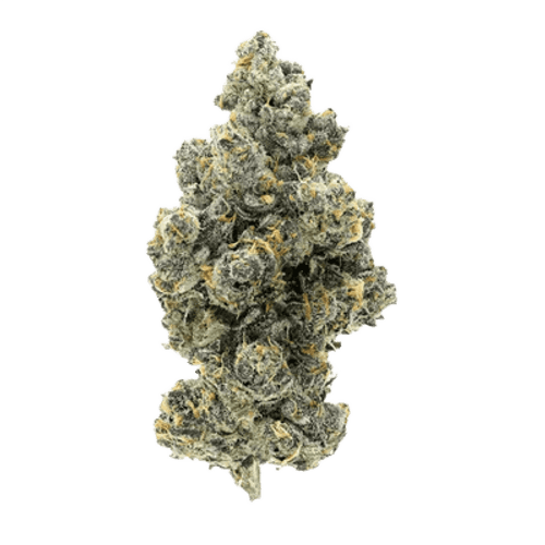 Cannamedical Hybrid Forte KA Ring of Sour