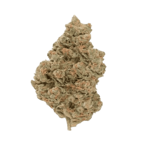 Kush Mountain Craft 33/1 RBP Rainbow Pavé