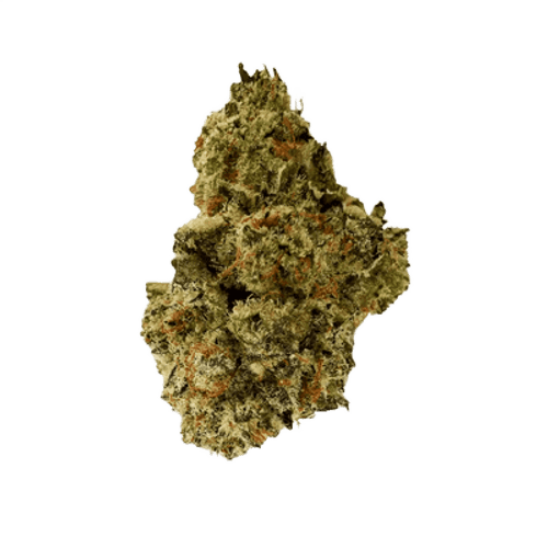 Sibanax Crescendo Cookies 22/1
