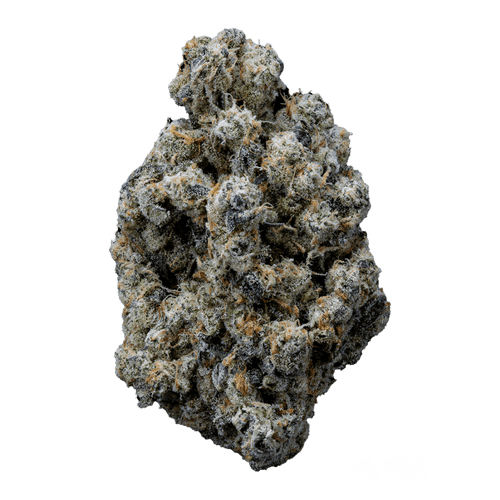Organic Sweetgrass CB 29/1 Crunch Berries